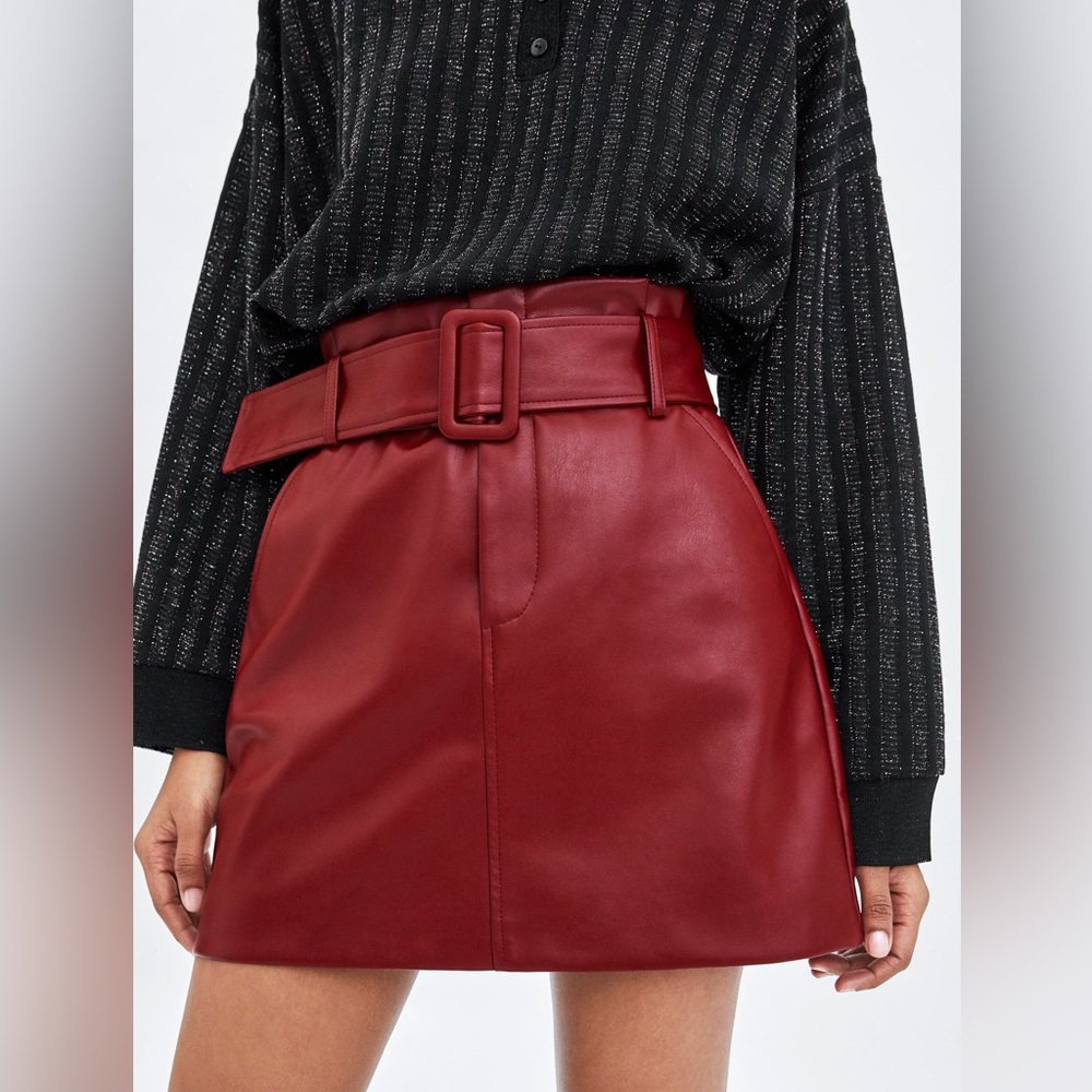 NWT Zara pleather skirt.